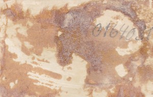 Партизаны Великой Отечественной. 9 фото фронтовой жизни. (2)