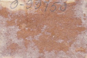 Партизаны Великой Отечественной. 9 фото фронтовой жизни. (2)