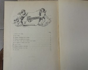 Земство и Конституция  И.П. Белоконский  1910 г.