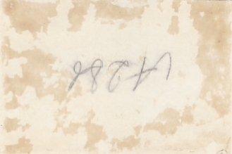 Сталин,Шмидт,Водопьянов,Каманин,Куйбышев. Встр. челюскинцев.