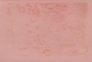 С.М.Будённый,М.В.Будённая с внуком на даче в Баковке.