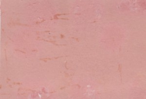 С.М.Будённый верхом на любимом коне "Софисте". Баковка.