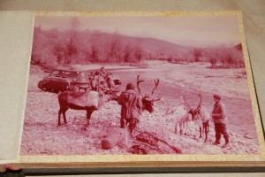 Альбом "Камчатка"