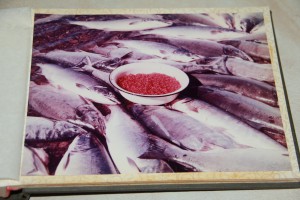 Альбом "Камчатка"