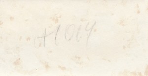 Ворошилов,Будённый на манёврах частей МВО. 1937 г. 5 фото.