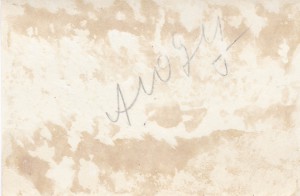 Сталин и Калинин в группе представителей азиатских народов.