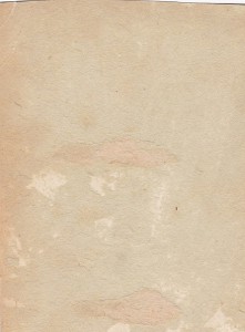 В буденовках....