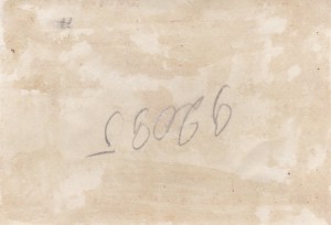 Прохождение сапёрных расчётов с собаками. Парад Победы.1945