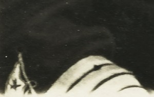 Торговый Флот. Интересные  Нашивки !!!!!!!!!