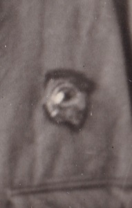 Сержант РККА. Петлицы,знак.