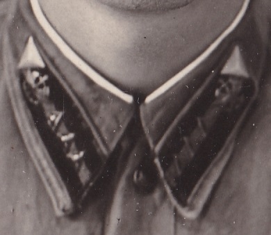 Сержант РККА. Петлицы,знак.