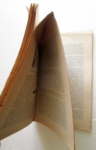 Здоровый СтолЪ и Заготовки впрокЪ (2 книги)