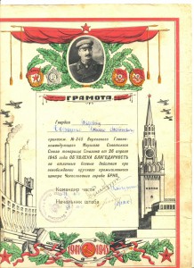 Благодарности с японцами на Дальнем Востоке +9 др.+док(1179)