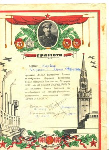 Благодарности с японцами на Дальнем Востоке +9 др.+док(1179)