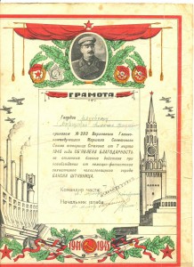 Благодарности с японцами на Дальнем Востоке +9 др.+док(1179)