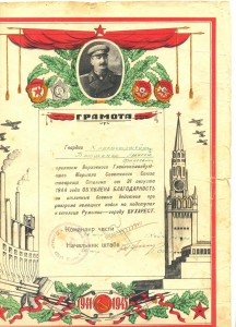 Благодарности с японцами на Дальнем Востоке +9 др.+док(1179)