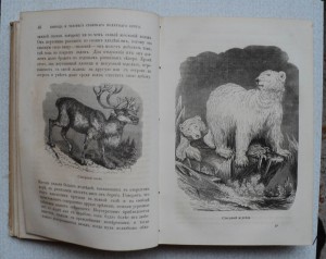 Путешествия и открытия 2 Гринельской экспедиции. 1866 г.