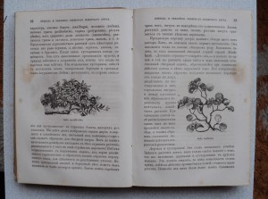 Путешествия и открытия 2 Гринельской экспедиции. 1866 г.