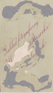 Подпоручик одного из полков 17-й пехотной дивизии. 1870-е гг