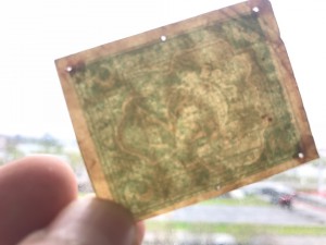 3 руб 1920 в/з грибы.