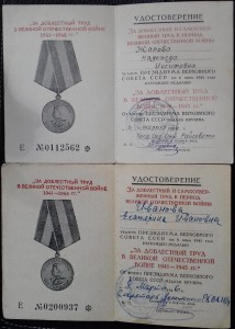 ЗДТ в ВОВ + ЗПГ 5 шт.