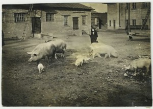 Фото с Альбома Пожарника, 30 годы, 14 фото!!!!!!!!!