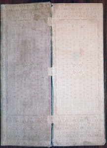 R - Дневник красного директора