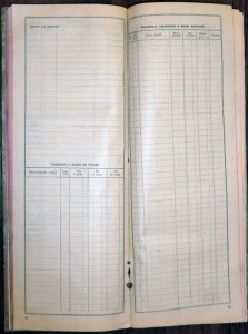 R - Дневник красного директора