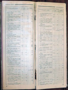 R - Дневник красного директора