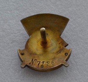 ОТЛИЧНИКУ ЗДРАВООХРАНЕНИЯ № 7126 В КОРОБОЧКЕ