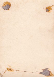 Служили три товарища. + пара мелких фото.