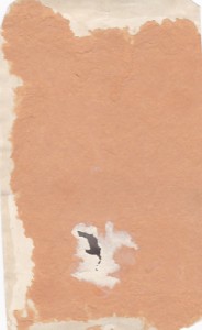 Борьба с басмачами. Средняя Азия или Кавказ.1920-30 е годы.
