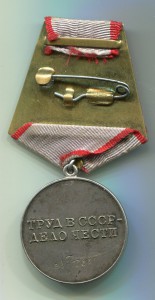 Трудовая доблесть №13881