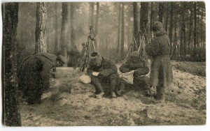 Вести с родины, 1915 г