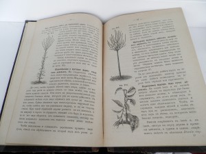 Несколько старинных книг
