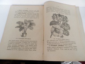 Несколько старинных книг