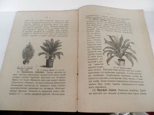 Несколько старинных книг