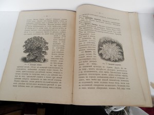 Несколько старинных книг