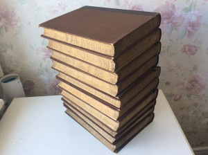 Реклю Э. Земля и люди