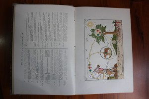 Н.С. Бокариус.Судебная медицина в изложении для юристов.1915