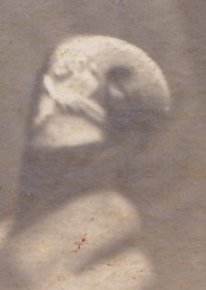 Бойцы 6-го железнодорожного (?) полка. 1932 год. 2 фото.