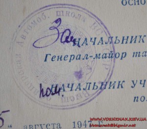 Свидетельство с отличием (все пятерки) об окончании высшей