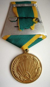 Целина_1