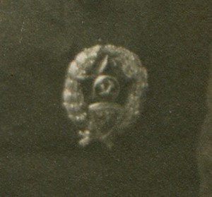 Краском железнодорожных войск. 1919-20гг. Знак.