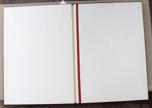 Папка ,Лучшему по профессии"