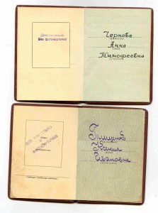 ЗП 306813 и 563290 с ДОК