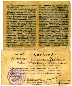 8 благодарностей Верх. Главнокомандующего.