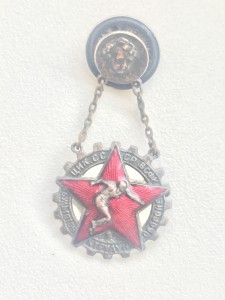 БГТО ЦИК СССР ВСФК