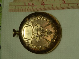 Золотой корпус 56 JUVENIA