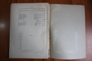 Дубельт К. И. Боевая деятельность в войну 1877-1878 гг.